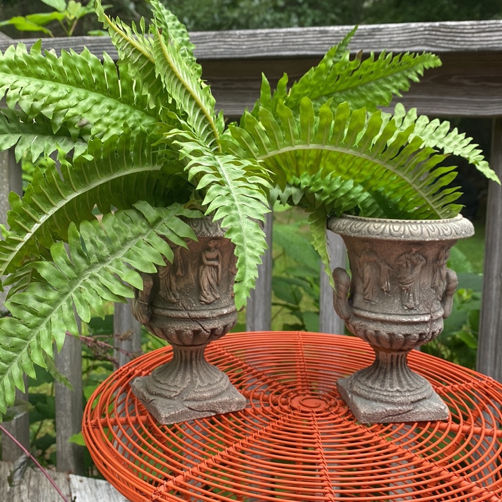 Faux Boston ferns one large and one small